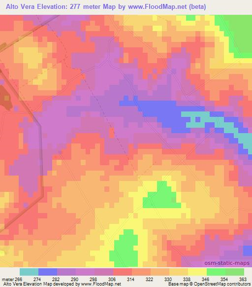 Alto Vera,Paraguay Elevation Map