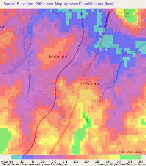 Sauzal,Uruguay Elevation Map