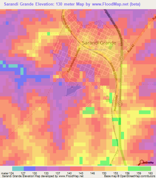 Sarandi Grande,Uruguay Elevation Map