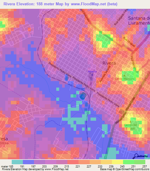 Rivera,Uruguay Elevation Map