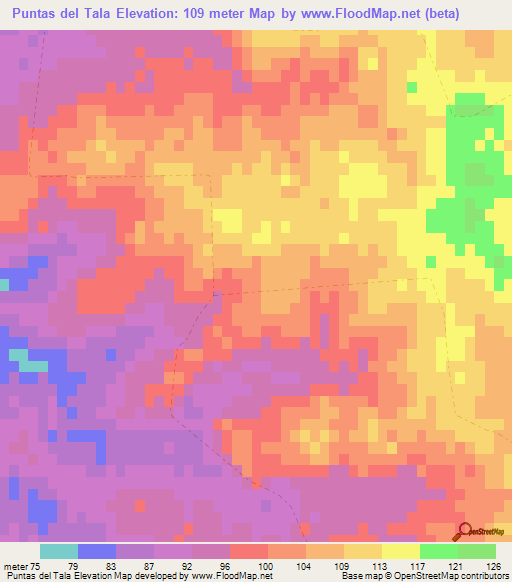 Puntas del Tala,Uruguay Elevation Map