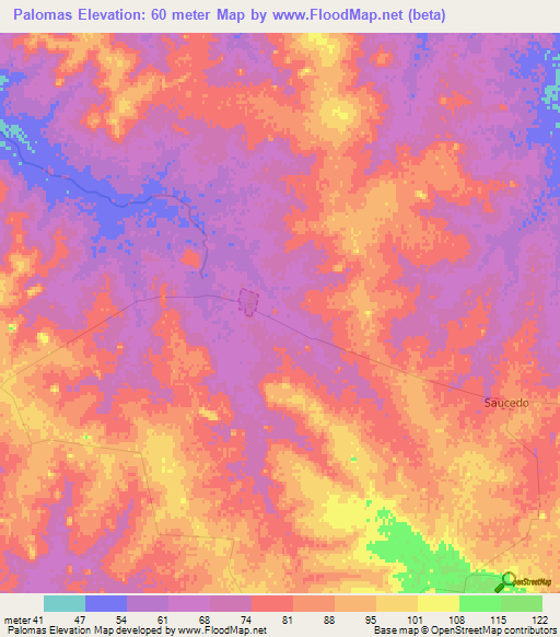 Palomas,Uruguay Elevation Map