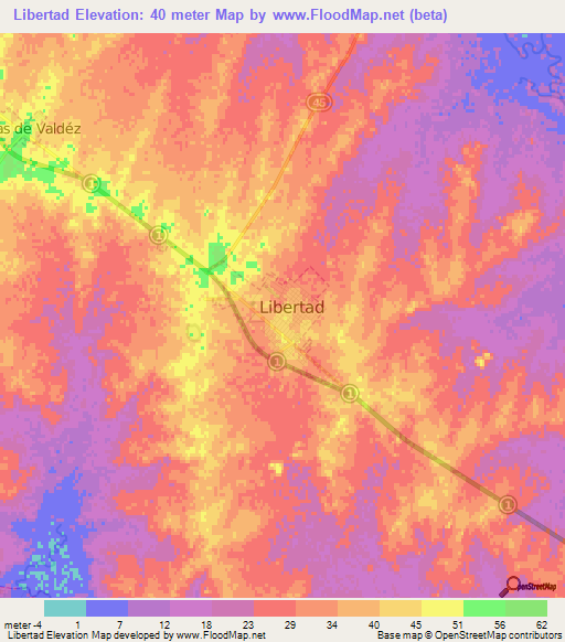 Libertad,Uruguay Elevation Map