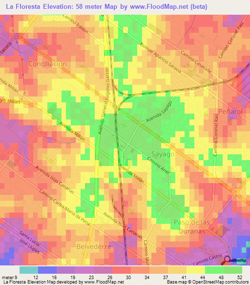 La Floresta,Uruguay Elevation Map