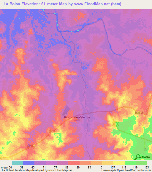 La Bolsa,Uruguay Elevation Map