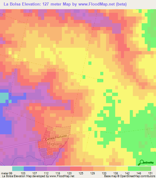 La Bolsa,Uruguay Elevation Map