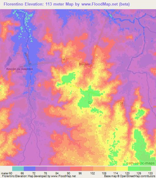 Florentino,Uruguay Elevation Map