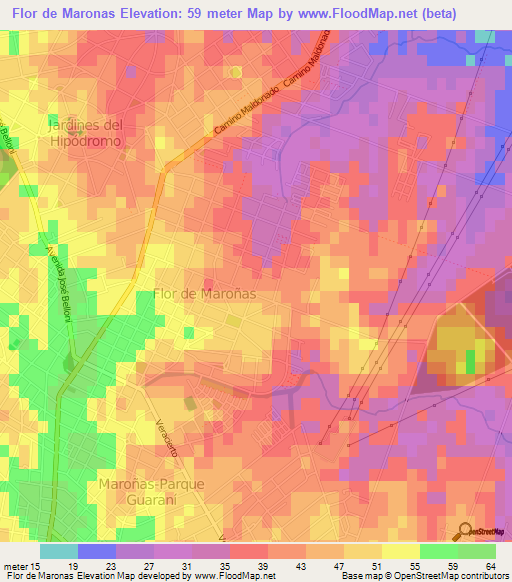 Flor de Maronas,Uruguay Elevation Map