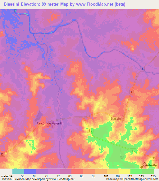 Biassini,Uruguay Elevation Map