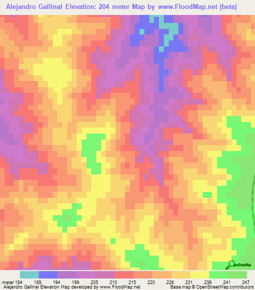 Alejandro Gallinal,Uruguay Elevation Map