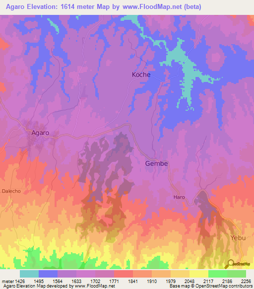 Agaro,Ethiopia Elevation Map