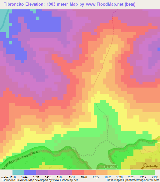 Tibroncito,Venezuela Elevation Map