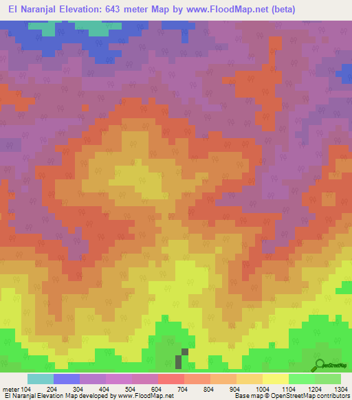 El Naranjal,Venezuela Elevation Map