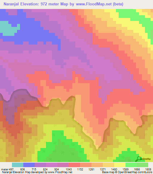 Naranjal,Venezuela Elevation Map
