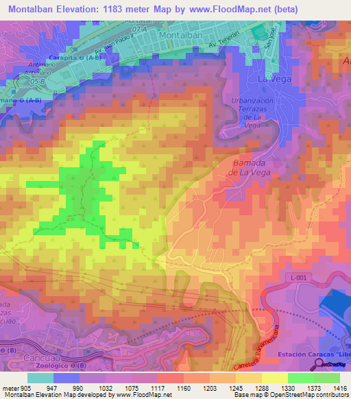 Montalban,Venezuela Elevation Map