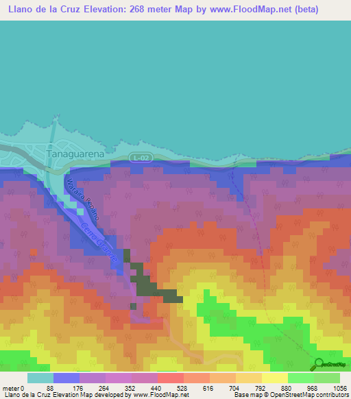 Llano de la Cruz,Venezuela Elevation Map