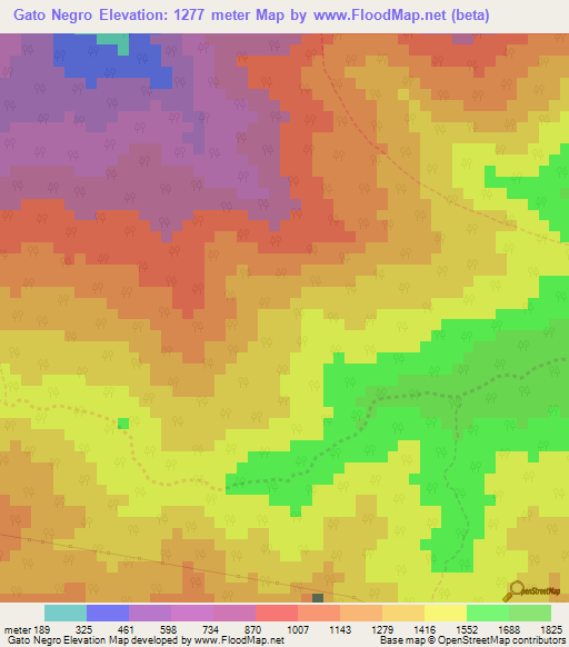 Gato Negro,Venezuela Elevation Map