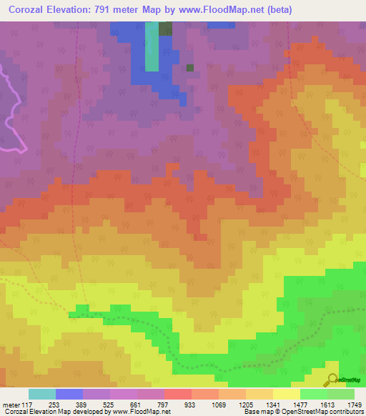 Corozal,Venezuela Elevation Map