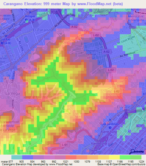Carangano,Venezuela Elevation Map