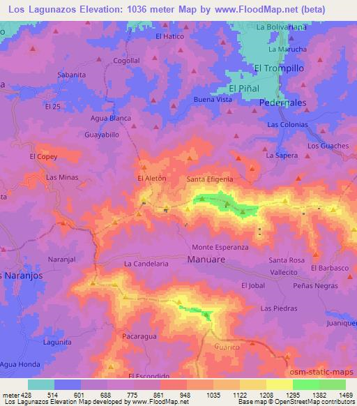 Los Lagunazos,Venezuela Elevation Map