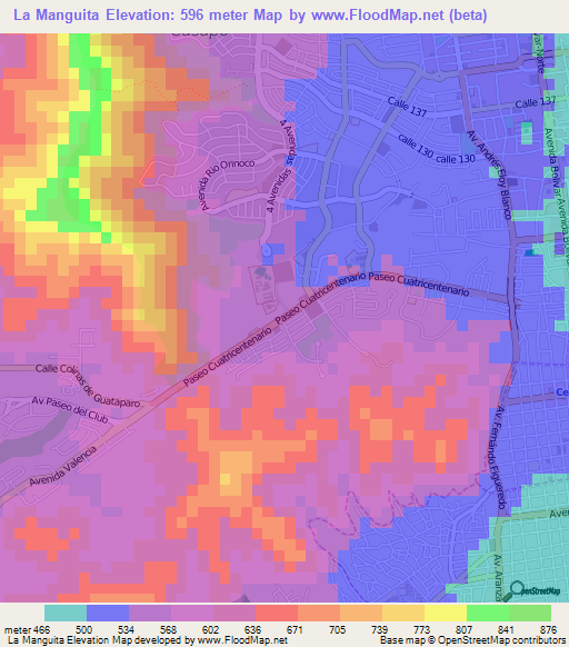 La Manguita,Venezuela Elevation Map