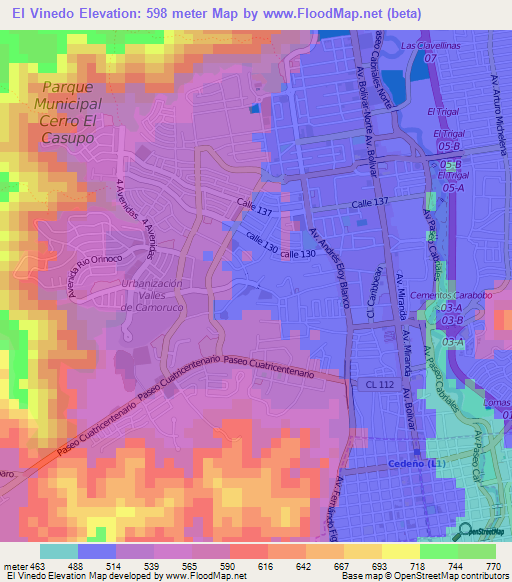 El Vinedo,Venezuela Elevation Map