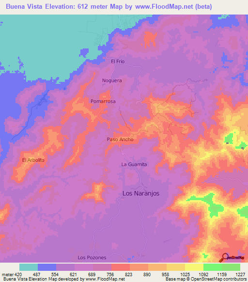 Buena Vista,Venezuela Elevation Map