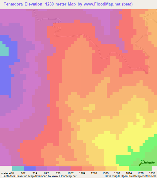 Tentadora,Venezuela Elevation Map