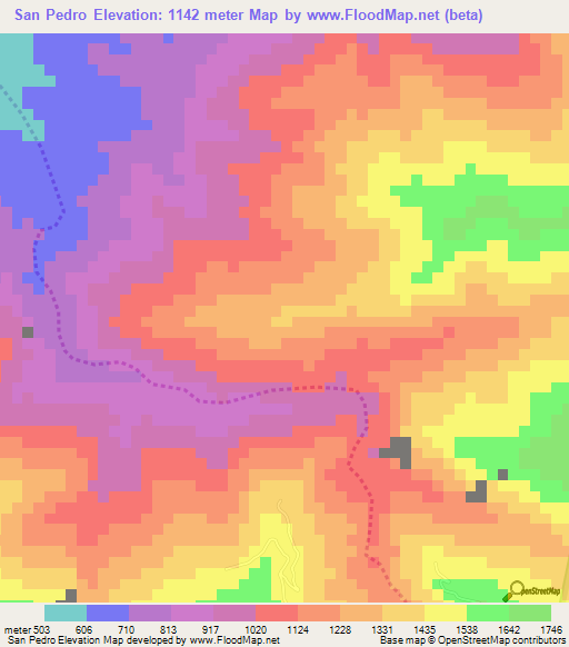 San Pedro,Venezuela Elevation Map