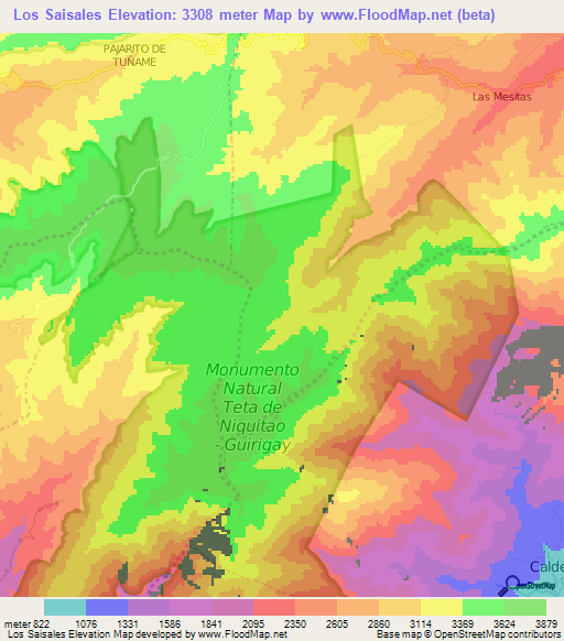 Los Saisales,Venezuela Elevation Map