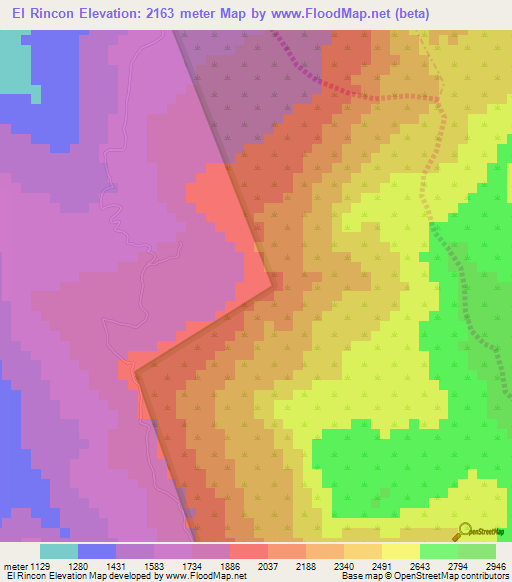 El Rincon,Venezuela Elevation Map