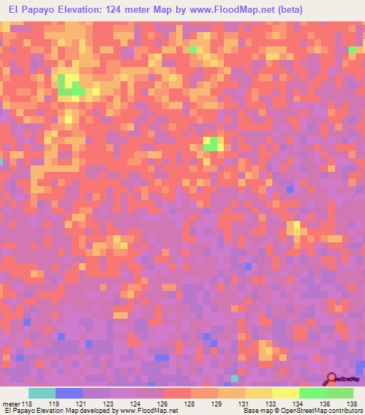 El Papayo,Venezuela Elevation Map