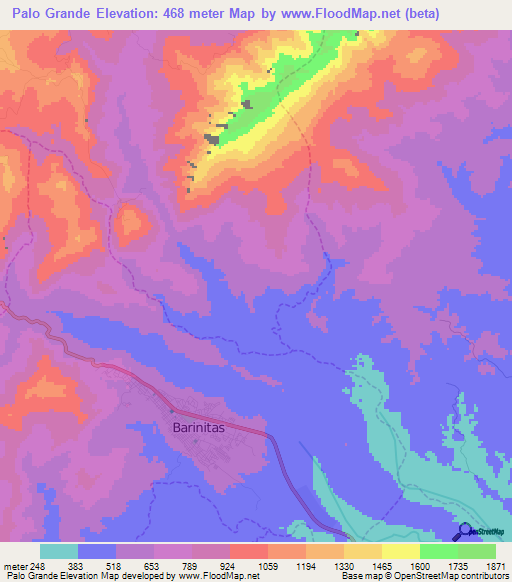 Palo Grande,Venezuela Elevation Map