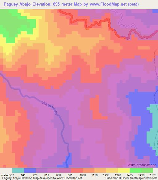 Paguey Abajo,Venezuela Elevation Map
