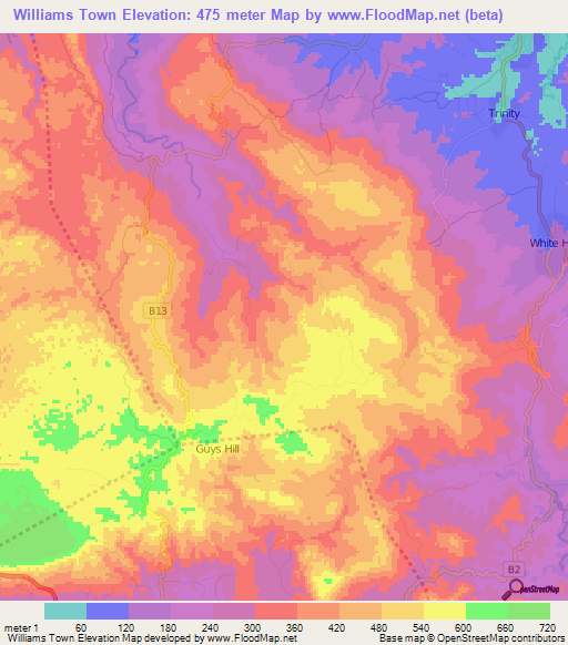 Williams Town,Jamaica Elevation Map