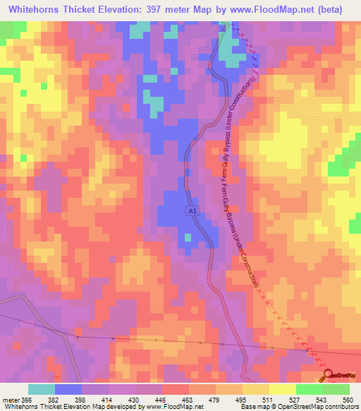 Whitehorns Thicket,Jamaica Elevation Map
