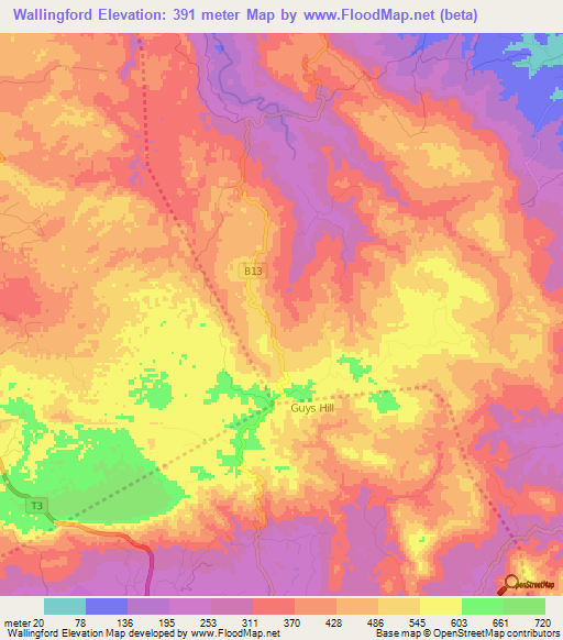 Wallingford,Jamaica Elevation Map