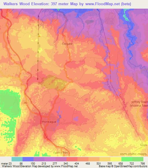 Walkers Wood,Jamaica Elevation Map