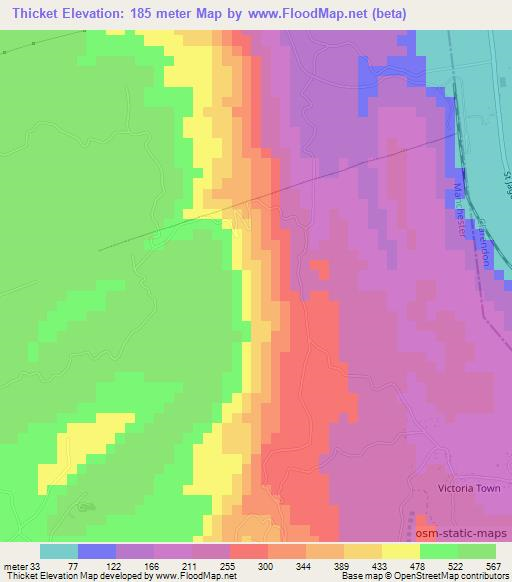 Thicket,Jamaica Elevation Map