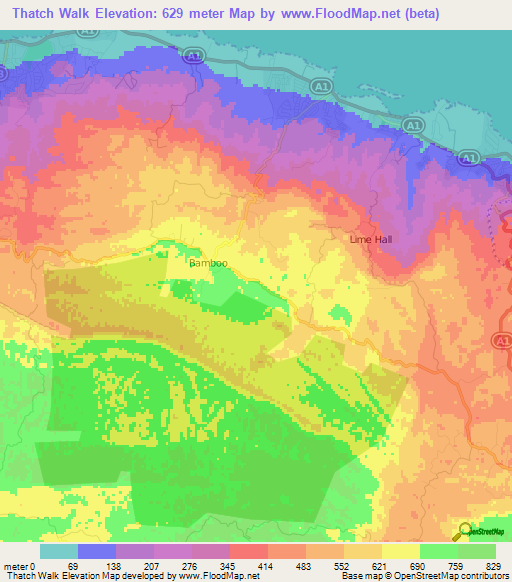 Thatch Walk,Jamaica Elevation Map