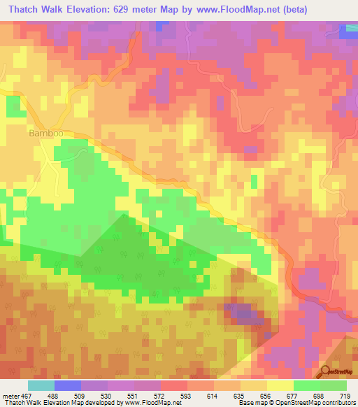Thatch Walk,Jamaica Elevation Map