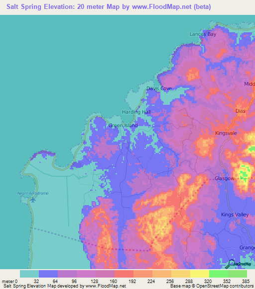 Salt Spring,Jamaica Elevation Map