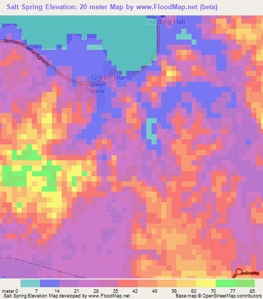 Salt Spring,Jamaica Elevation Map