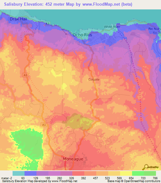 Salisbury,Jamaica Elevation Map