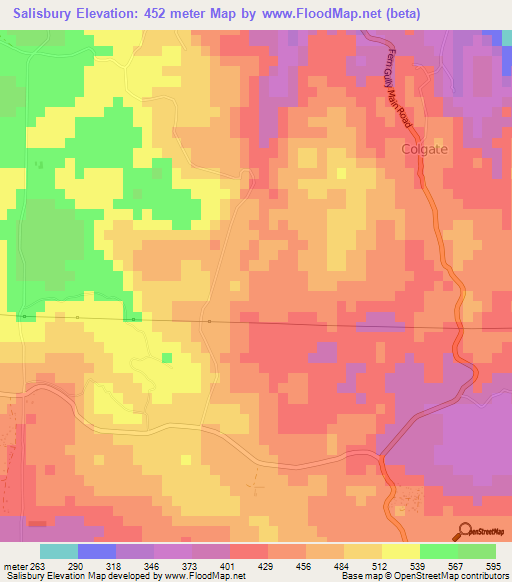 Salisbury,Jamaica Elevation Map
