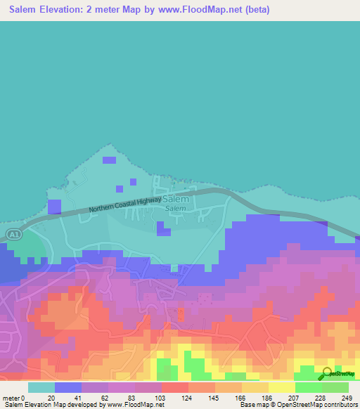 Salem,Jamaica Elevation Map