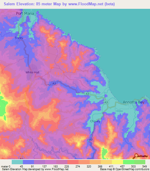 Salem,Jamaica Elevation Map