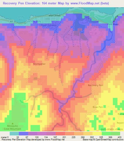 Recovery Pen,Jamaica Elevation Map