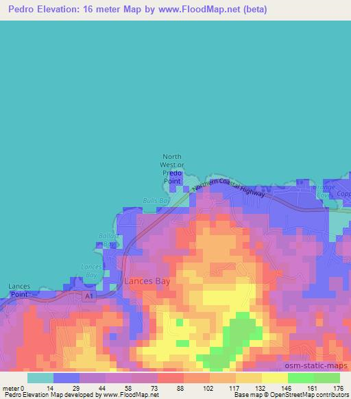 Pedro,Jamaica Elevation Map