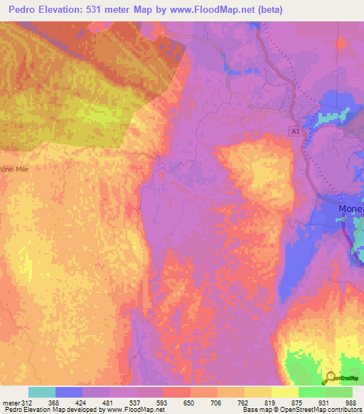 Pedro,Jamaica Elevation Map